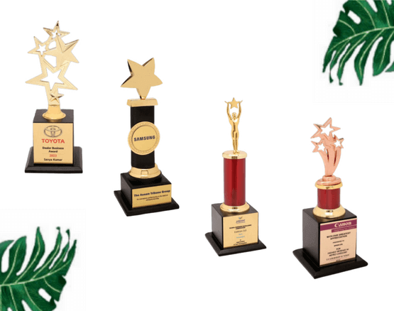 Trophies & Awards